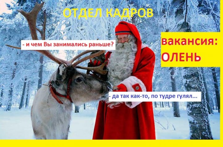 ИНТЕРЕСНО: Как находят работников с опытом, если без опыта на работу не принимают?