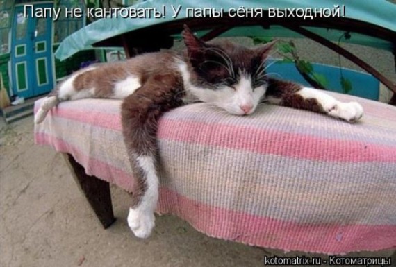 Хорошо когда не март!