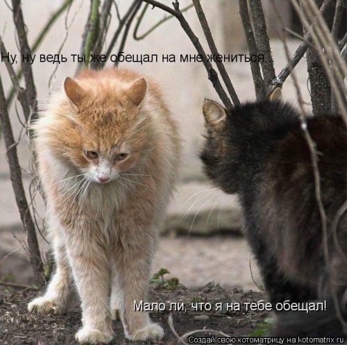 Обещать - не значит жениться