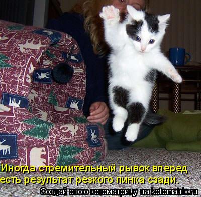 Пинок под зад - лучший мотиватор!