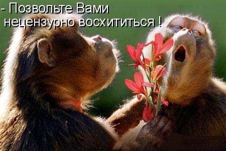 С цветами?Без бананов? Вы так не банальны!