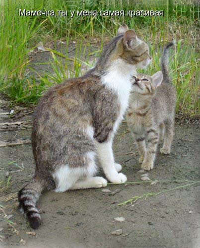 а ты точно моя мама?