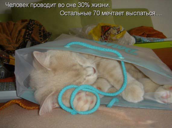 Подарок готов!