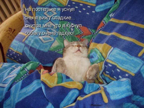 хозяйка, а на ночь сказочку.