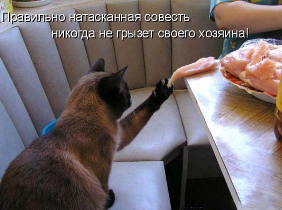 как у всех: долю смотрящему!