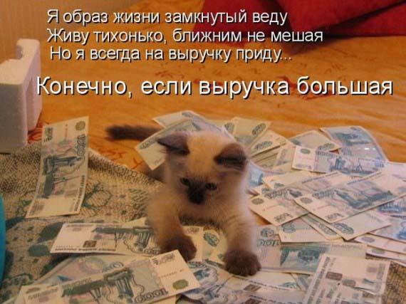 Котфеллер!