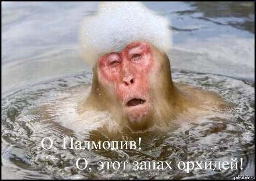 да выпустите меня,чистый я,чистый.