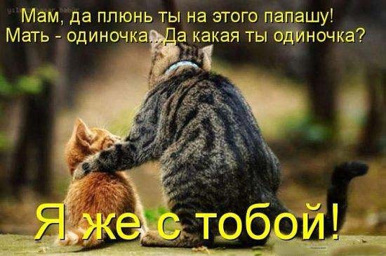 поцми сынок,с людьми надо поласковее.