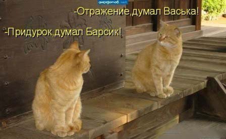 брат ты мне или не брат?