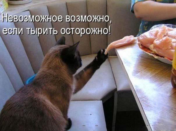 авось никто не заметит.