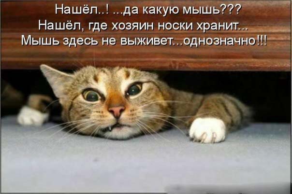 Как же меня плющит от твоих носков.