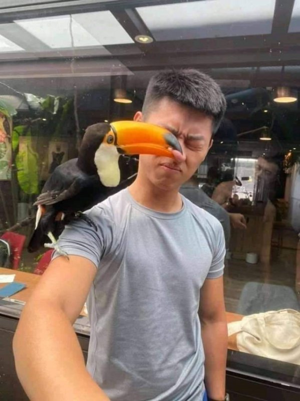 Щас я тебе такой же клюв сделаю.