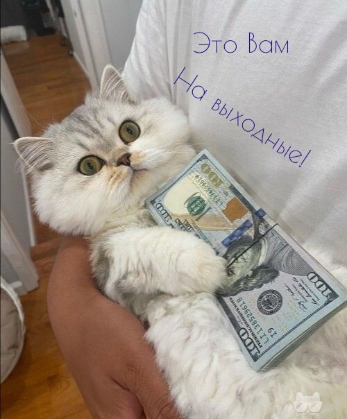 Да, примерно столько и нужно.