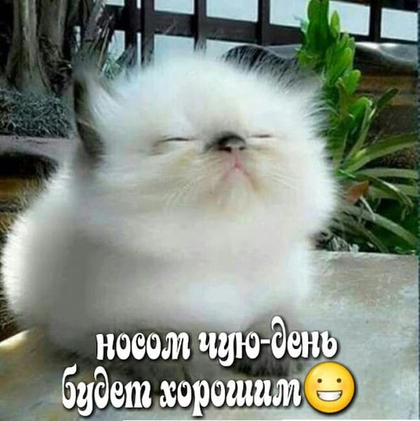 У меня сегодня чуйка