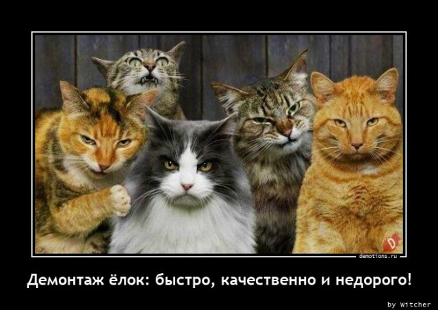 Фотография передовиков