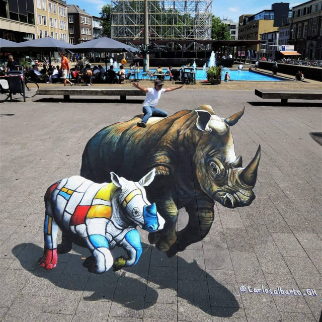3D носороги