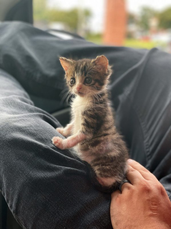 И это вокруг моё?