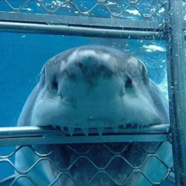 Математична когда забыла зделать дз