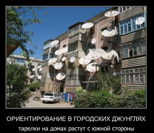 инопланетян ищут...наверна