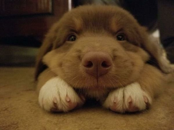 Какие же вы все классные! )))