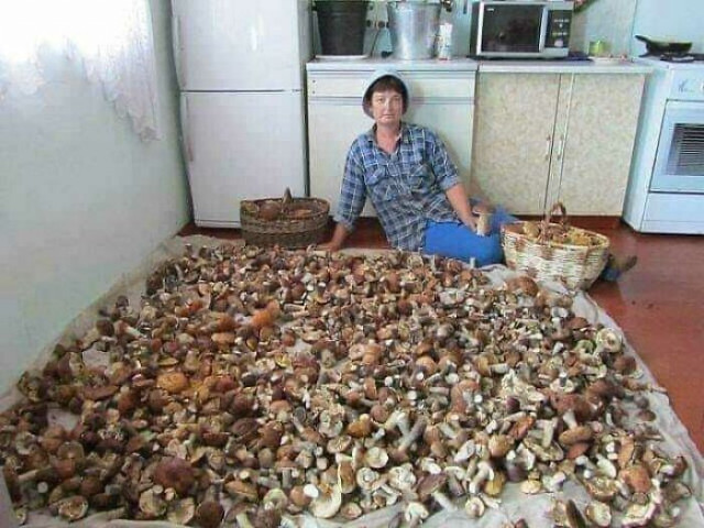 Хорошо, но нах.. столько