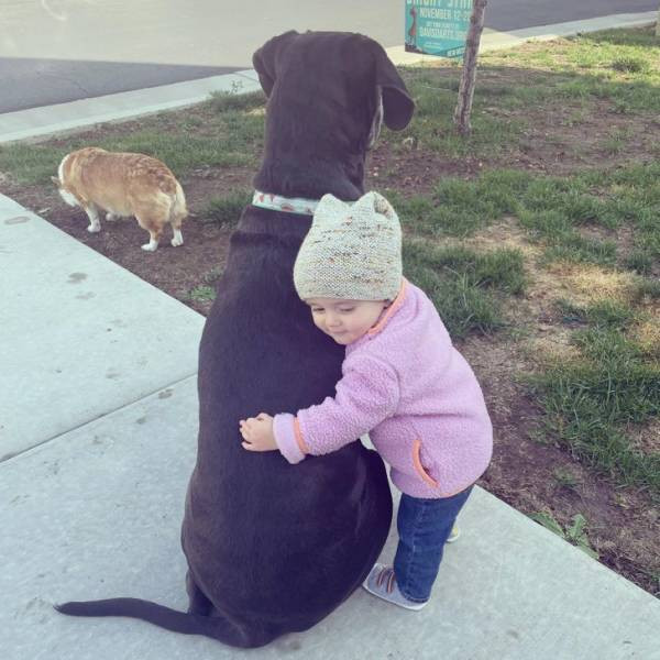 Лучший друг