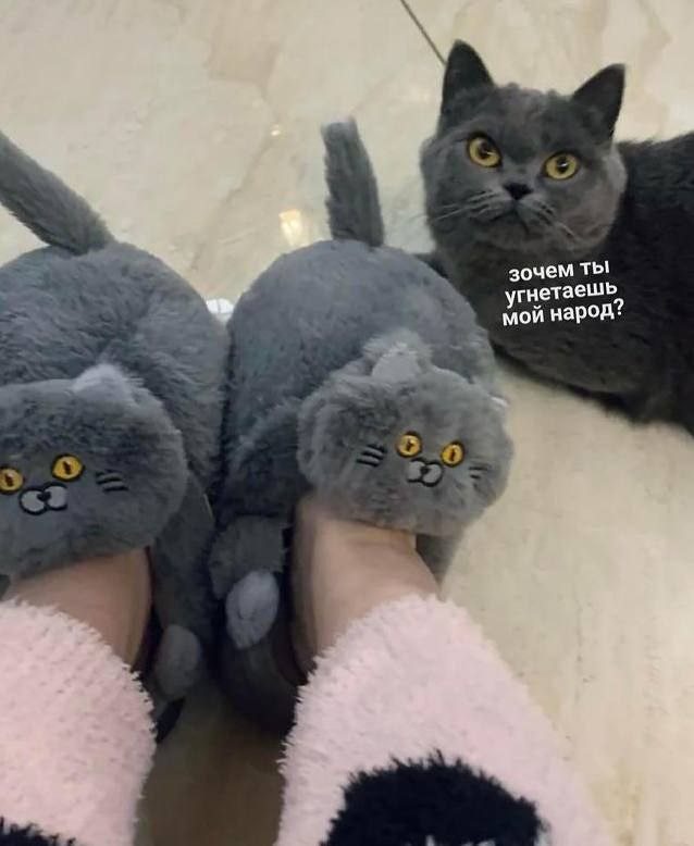 Это потому что я чёрный????