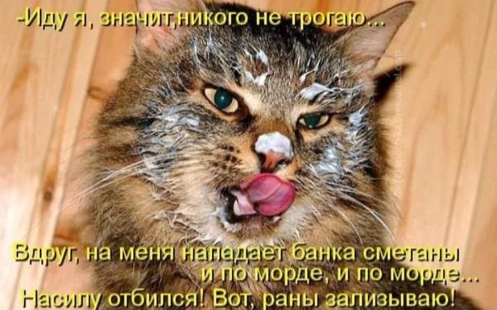 Чистосердечное признание.