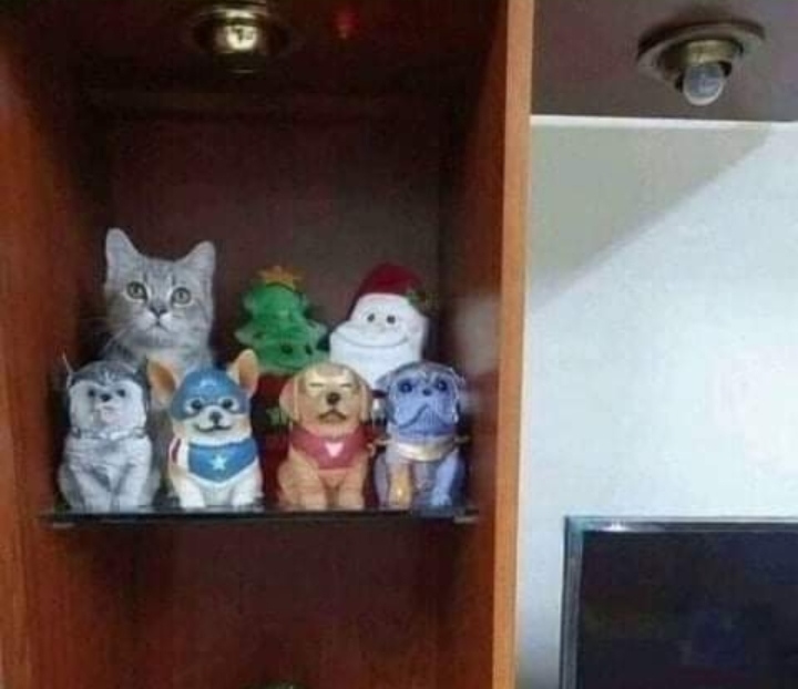 Мастер маскировки.