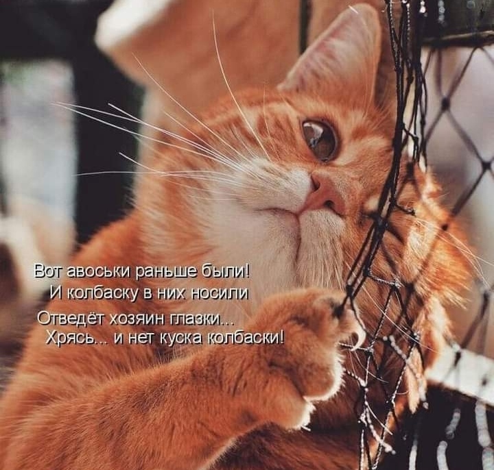 Приятное воспоминание.