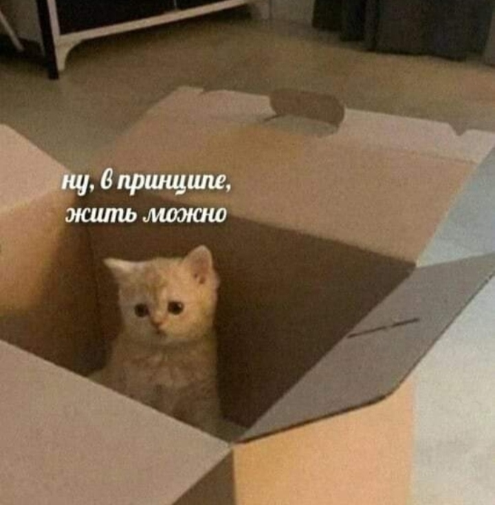 Жильё... на вырост