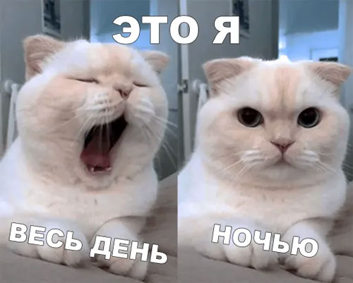 Точно подмечено ))