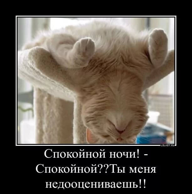 анекдотиков.нет - анекдоты, смешные истории, прикольные афоризмы