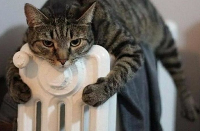 Место ожидания весны