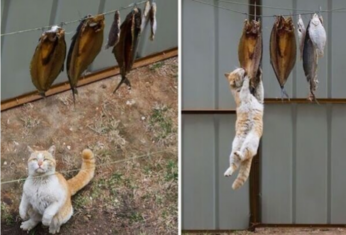 Как я ходил на рыбалку