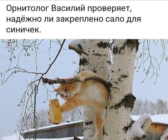 Ответственный
