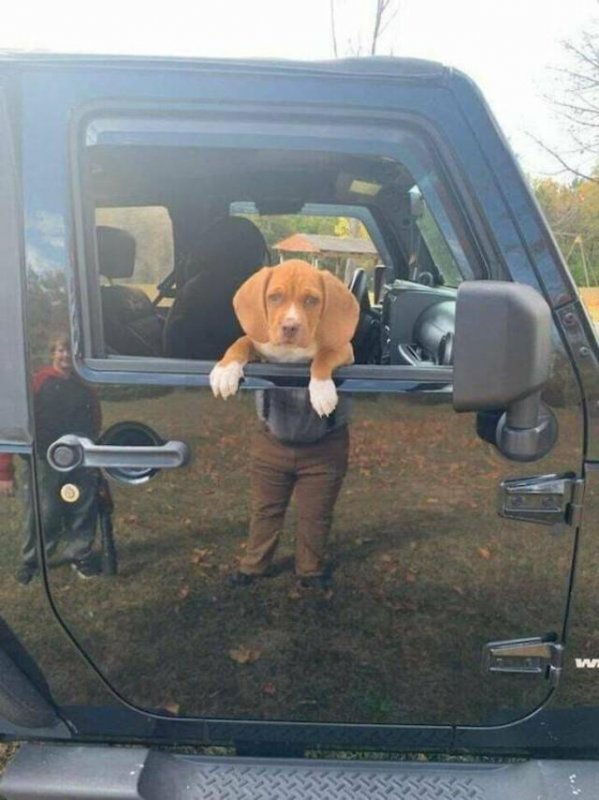 Ну, как я выгляжу? ;)