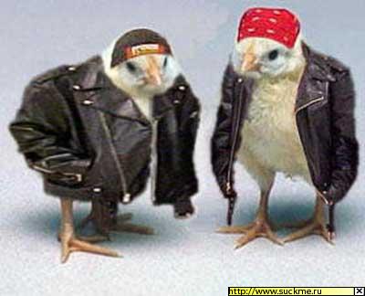 ВИА "ЦЫПЛЁНОК ЖАРЕНЫЙ"