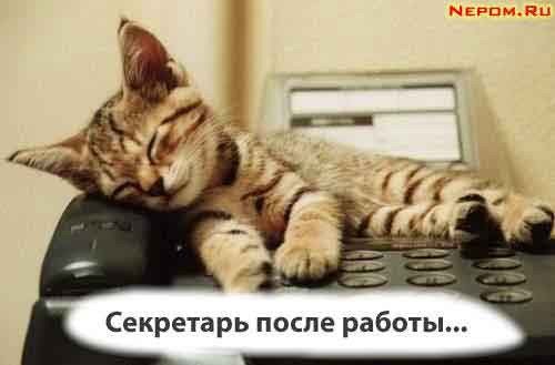 Секретарь НА работе