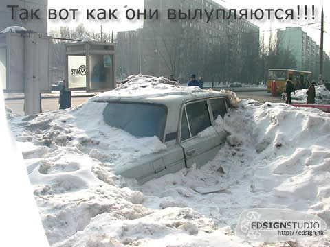 Подснежник.