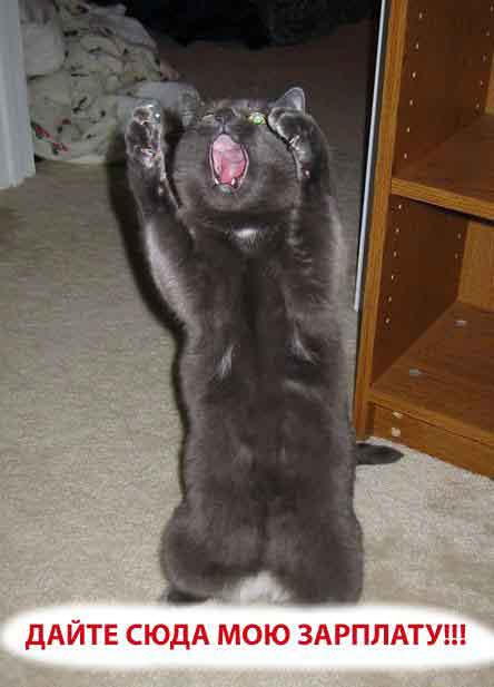 Где пульт от телика?!!