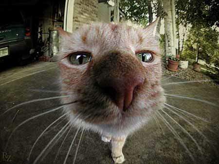 Я тебя поцелую, потом, если захочешь...!!!