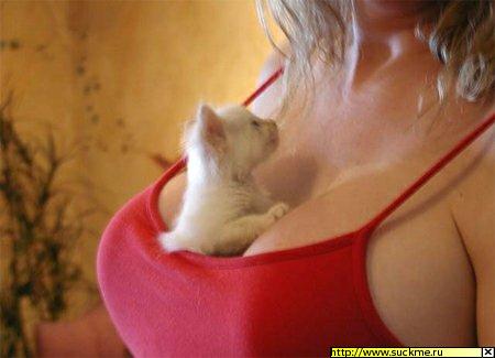 Как это молочка нет...? А вчера было...!!!