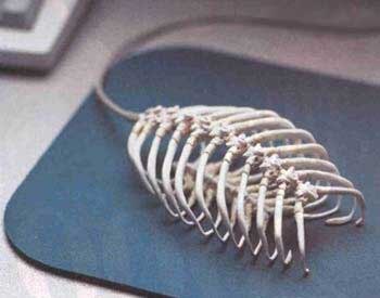 Мышка сдохла, хвост облез...