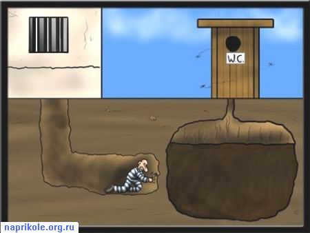 Путь к шоколадному кладу...