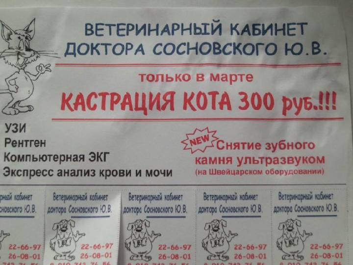 Добрый доктор Сосновский...