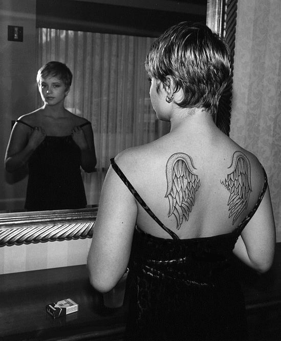 Неочевидна крыльев польза: порой они мешают ползать.