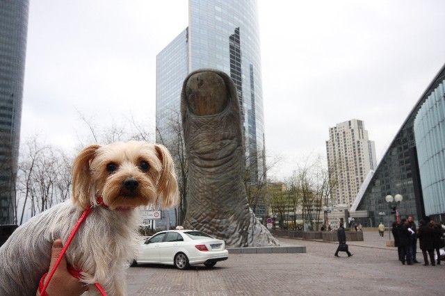 Фрейд бы это не одобрил.