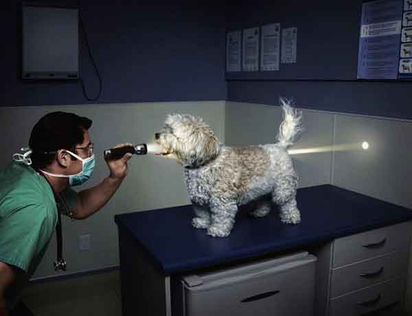 Запора точно нет...