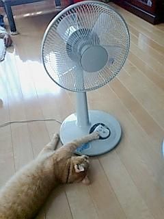 Ну и жара... Но я дополз до вентилятора!!!!!